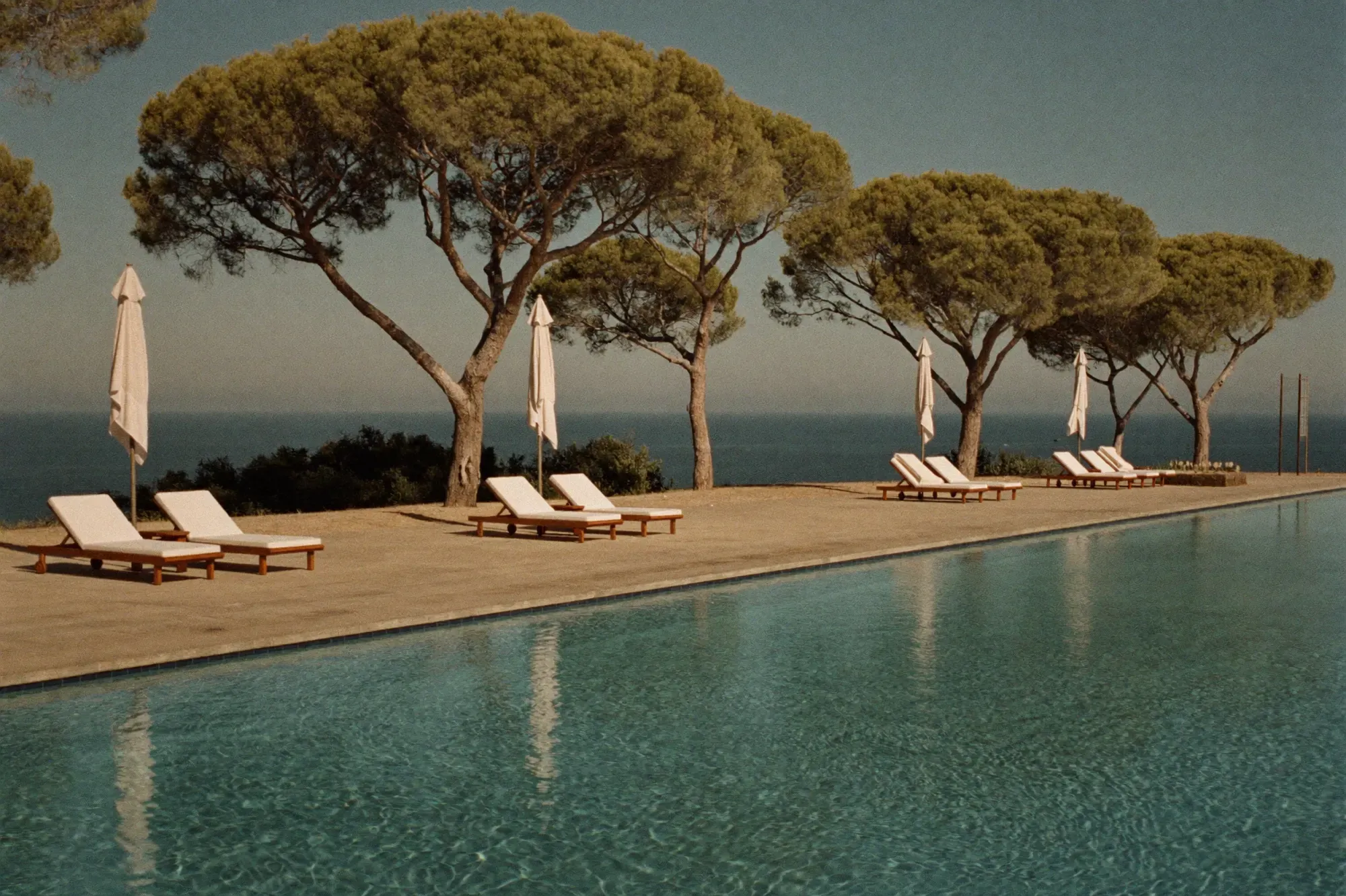 Piscina entre pinos