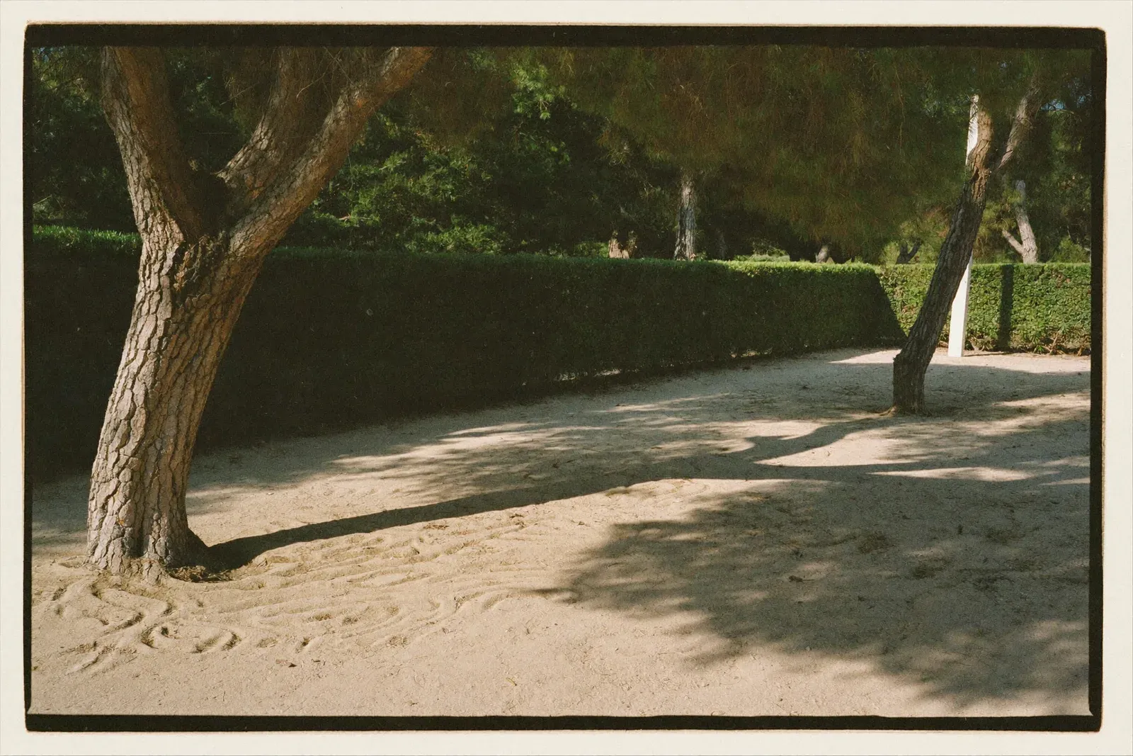 Parcelas