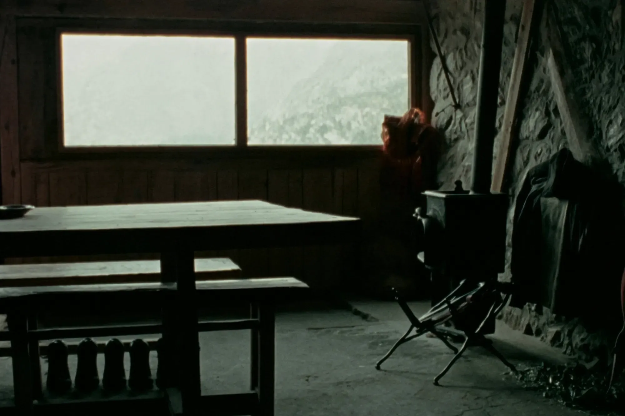 Parcel·la de bosc — 2