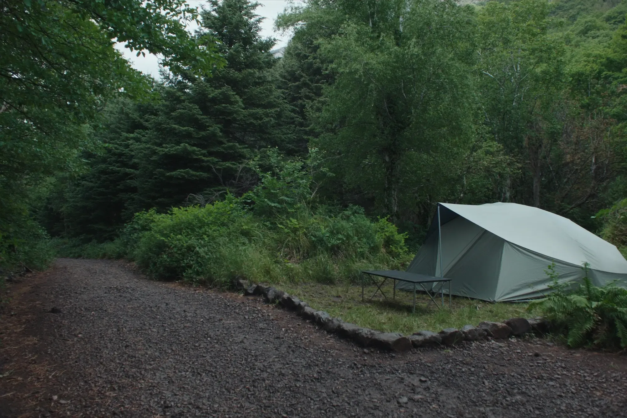 Parcel·les de bosc