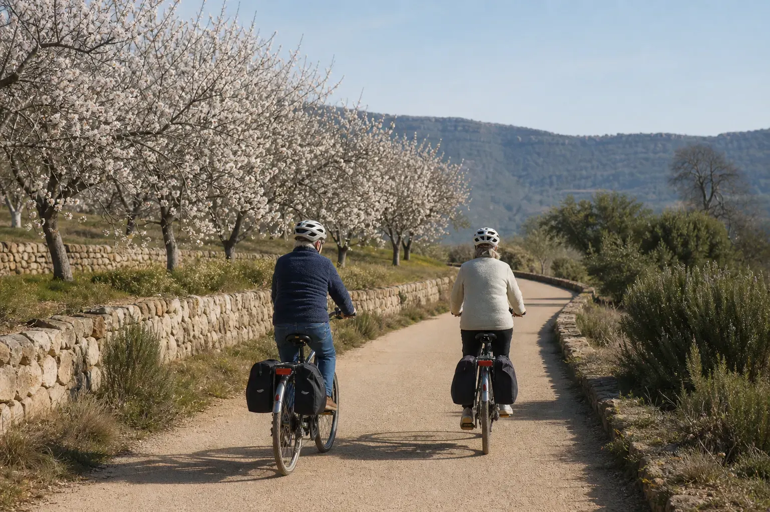 Camino de los almendros
